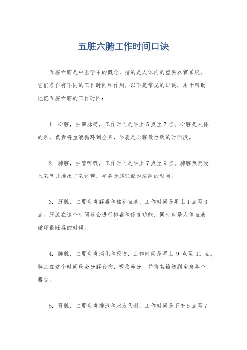 五脏六腑工作时间口诀