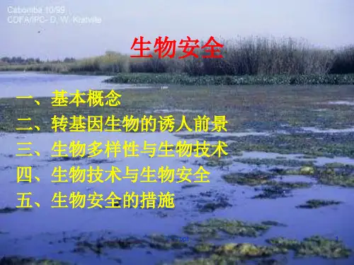 《生物安全》PPT课件