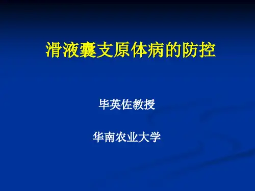 MS-毕老师