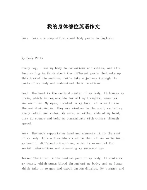 我的身体部位英语作文