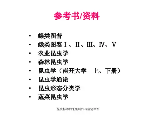 昆虫标本的采集制作与鉴定课件