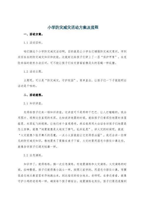 小学防灾减灾活动方案及流程
