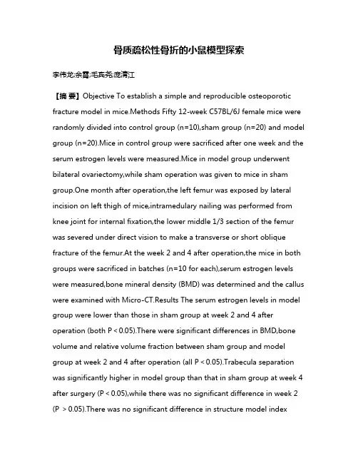 骨质疏松性骨折的小鼠模型探索
