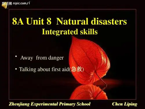 牛津译林版八年级上册英语课件Unit8  Integrated skil