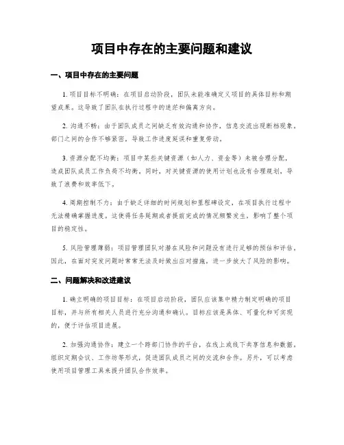 项目中存在的主要问题和建议