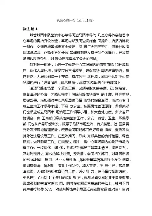 执法心得体会（通用18篇）