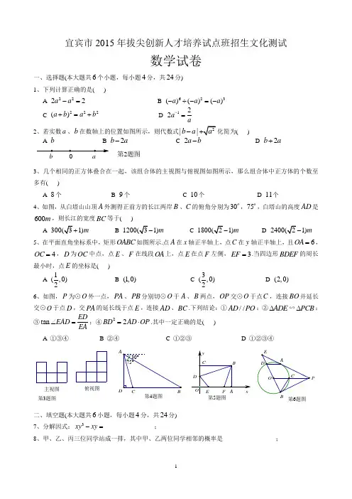 宜宾市2015年拔尖创新人才培养试点班招生文化测试数学试题(含参考答案)
