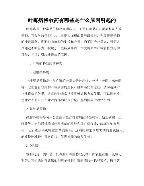 叶霉病特效药有哪些是什么原因引起的