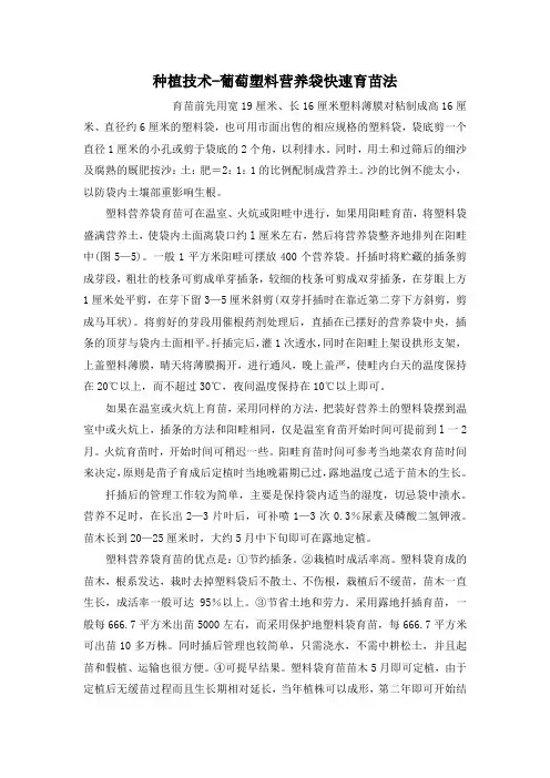 种植技术-葡萄塑料营养袋快速育苗法