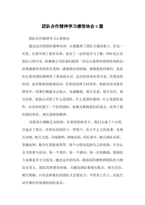 团队合作精神学习感悟体会5篇