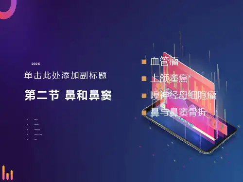 鼻副窦影像诊断ppt课件