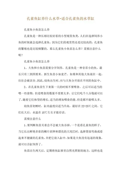 孔雀鱼缸养什么水草-适合孔雀鱼的水草缸
