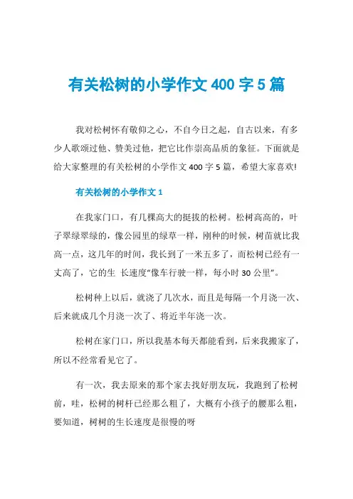 有关松树的小学作文400字5篇