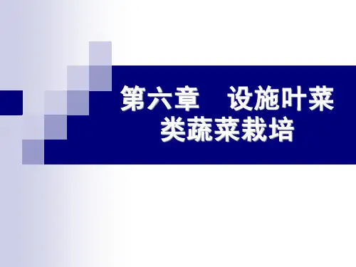 第六章 设施叶菜类蔬菜栽培