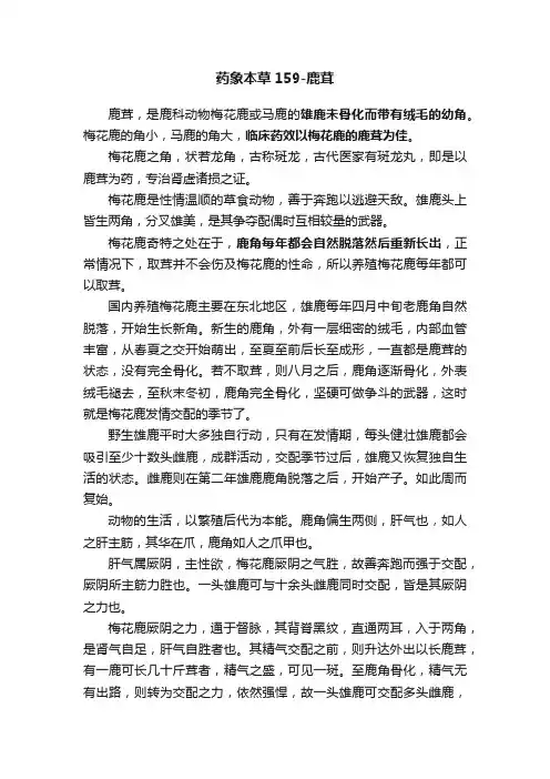 药象本草159-鹿茸