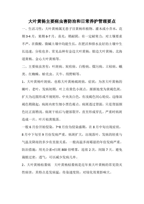 大叶黄杨病虫害防治和日常养护管理要点