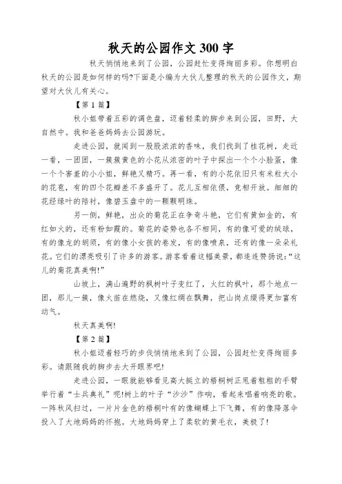 秋天的公园作文300字