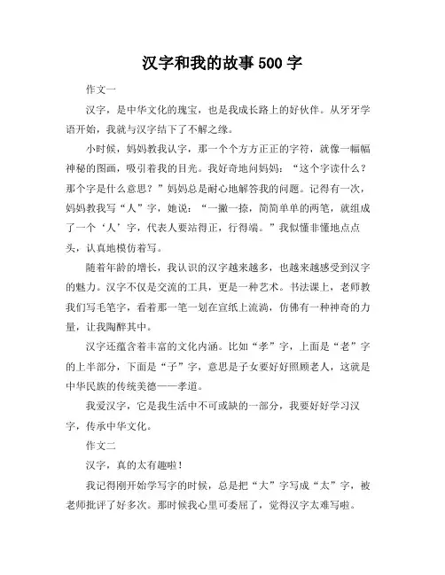 汉字和我的故事500字