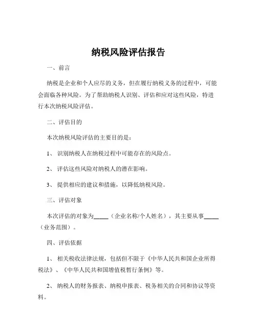 纳税风险评估报告
