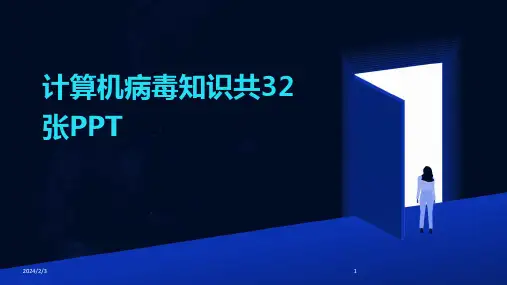 2024年度计算机病毒知识共32张PPT