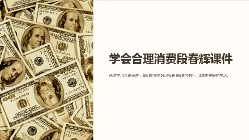 学会合理消费段春辉课件