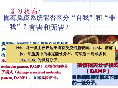 医学免疫学：8超敏反应