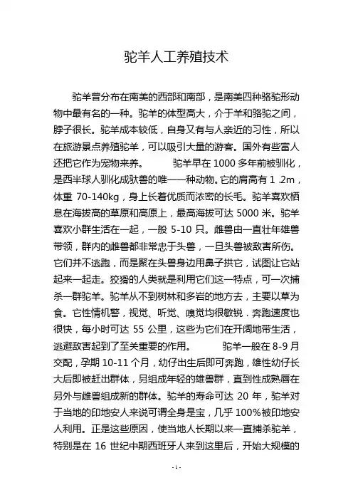 驼羊人工养殖技术