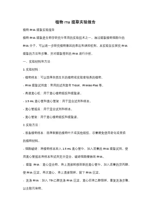 植物rna提取实验报告