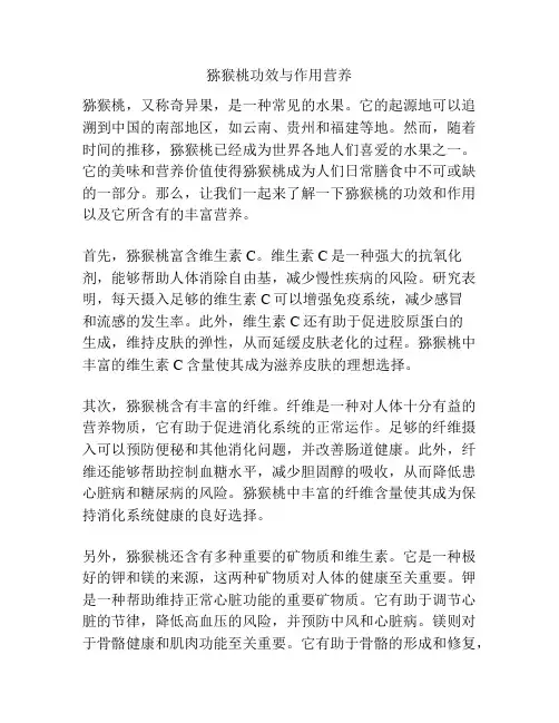 猕猴桃功效与作用营养