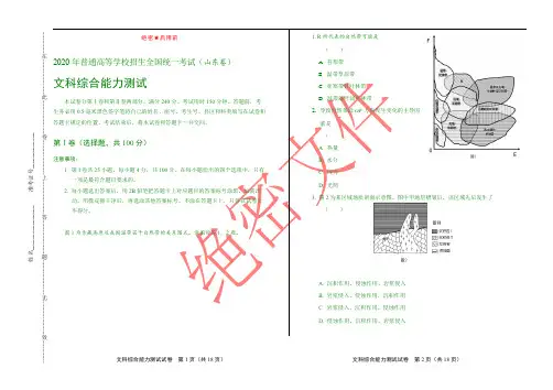 2020年高考文综山东卷