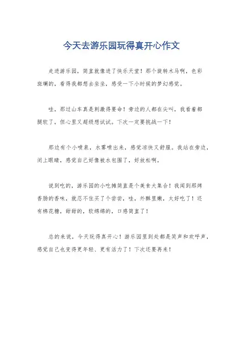 今天去游乐园玩得真开心作文