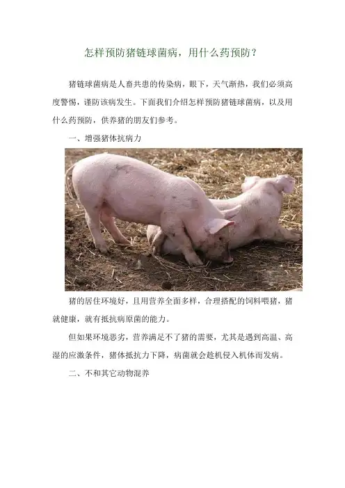 怎样预防猪链球菌病,用什么药预防？