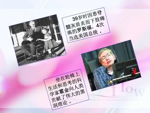 合欢树优秀课件页PPT文档