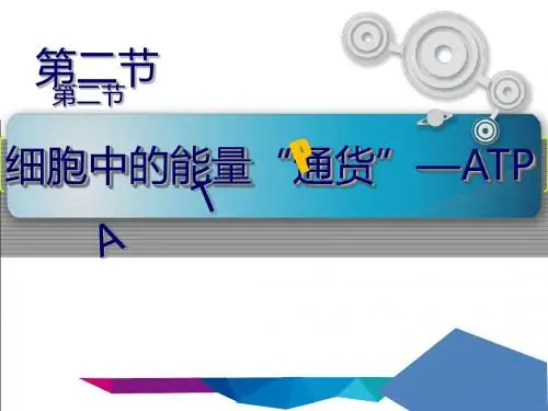 人教版高中生物必修一优质课件：第五章第2节《细胞的能量“通货”—ATP》(共27张PPT)