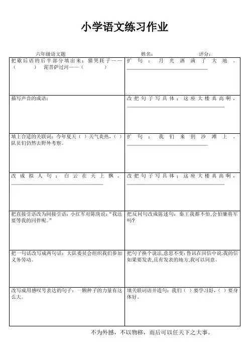小学六年级语文素养提升练习24 (131)