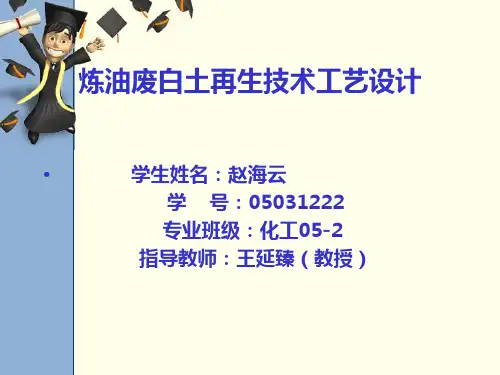 废白土再生技术工艺设计