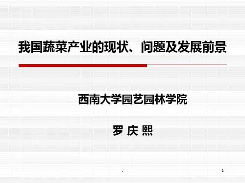 中国蔬菜产业的现状、问题及发展前景PPT课件