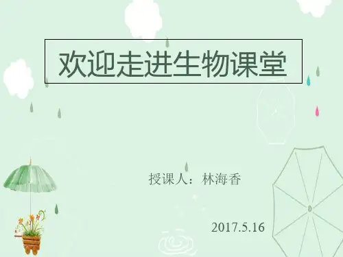神经系统的组成PPT课件30(2份) 人教版