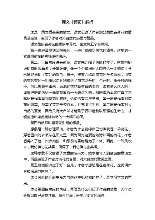 课文《荷花》解析
