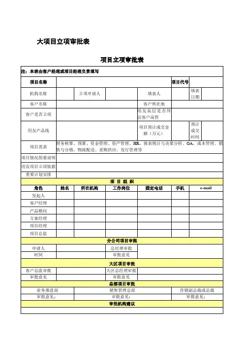 大项目立项审批表