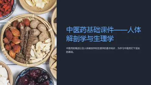 《中医药基础课件——人体解剖学与生理学》