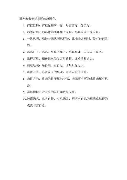 形容未来美好发展的成语