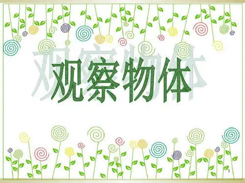 二年级上册《观察物体》PPT课件