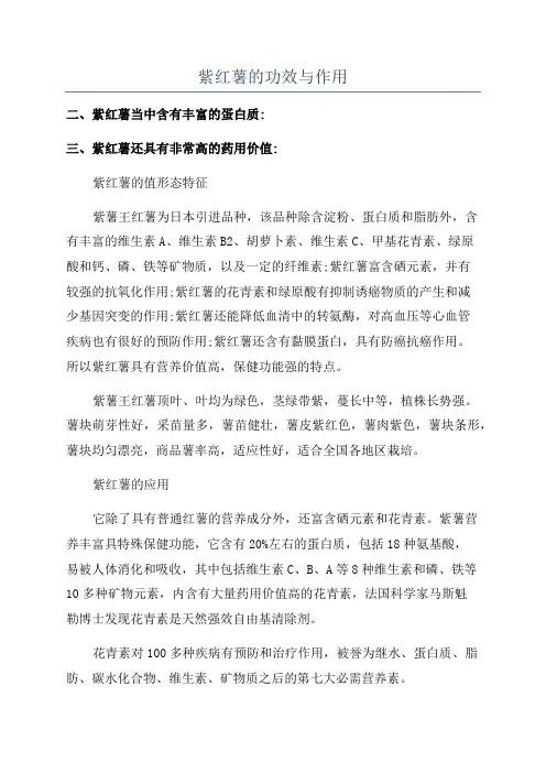 紫红薯的功效与作用
