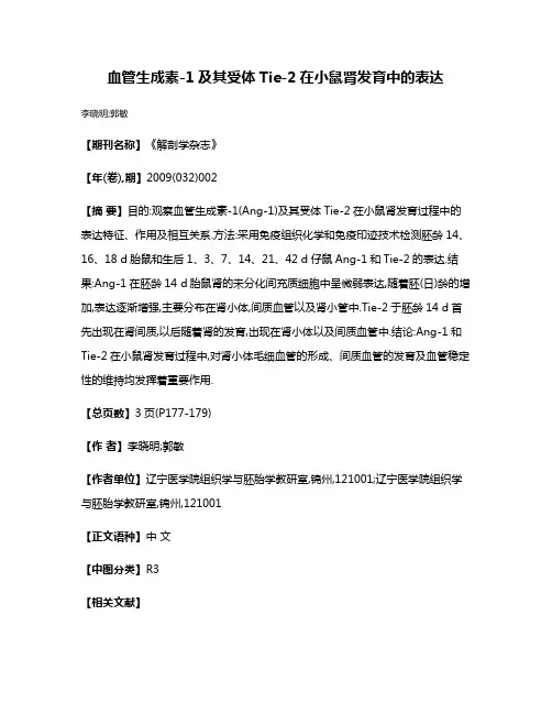 血管生成素-1及其受体Tie-2在小鼠肾发育中的表达