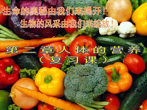 人教版七年级生物下册第二章《人体的营养》课件