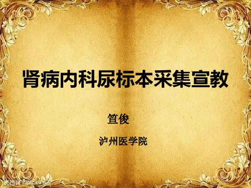 肾病内科常见尿标本采集方法宣教