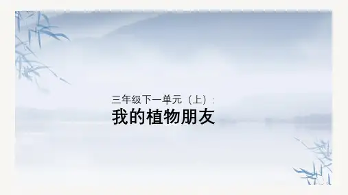 部编版语文三年级下册习作：我的植物朋友  课件(共27张PPT)