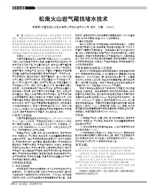 松南火山岩气藏找堵水技术