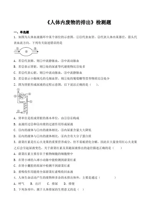 人教版初中生物七年级下册第四单元第五章《人体内废物的排出》检测题(包含答案)